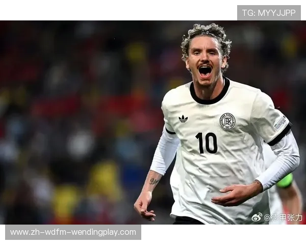 德甲橄榄球队精彩视频合集：非主流项目的德式魅力