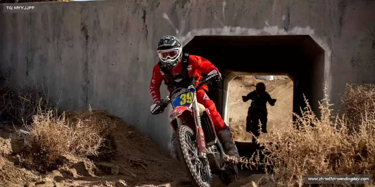 问鼎娱乐——为每一个全力以赴的你🏸